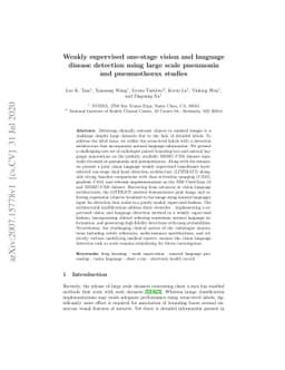 Weakly supervised one-stage vision and language disease detection using
  large scale pneumonia and pneumothorax studies