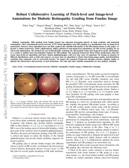 Robust Collaborative Learning of Patch-level and Image-level Annotations
  for Diabetic Retinopathy Grading from Fundus Image