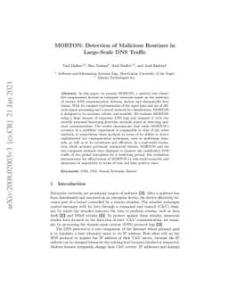 MORTON: Detection of Malicious Routines in Large-Scale DNS Traffic