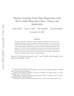 Machine Learning Panel Data Regressions with Heavy-tailed Dependent
  Data: Theory and Application
