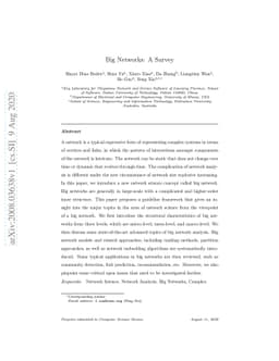 Big Networks: A Survey