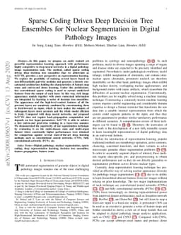 Sparse Coding Driven Deep Decision Tree Ensembles for Nuclear
  Segmentation in Digital Pathology Images