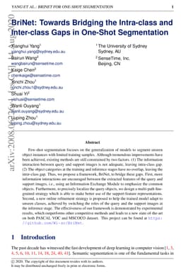 BriNet: Towards Bridging the Intra-class and Inter-class Gaps in
  One-Shot Segmentation