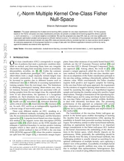 $\ell_p$-Norm Multiple Kernel One-Class Fisher Null-Space