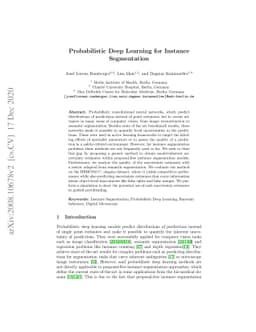 Probabilistic Deep Learning for Instance Segmentation