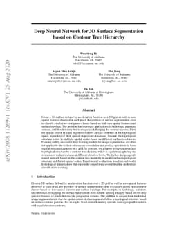 Deep Neural Network for 3D Surface Segmentation based on Contour Tree
  Hierarchy