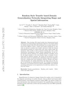 Random Style Transfer based Domain Generalization Networks Integrating
  Shape and Spatial Information