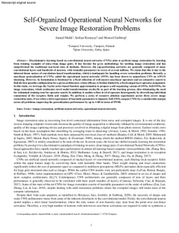 Self-Organized Operational Neural Networks for Severe Image Restoration
  Problems