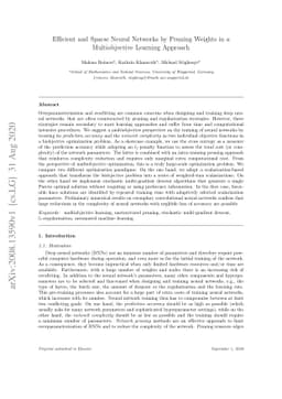 Efficient and Sparse Neural Networks by Pruning Weights in a
  Multiobjective Learning Approach