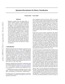 Quantum Discriminator for Binary Classification