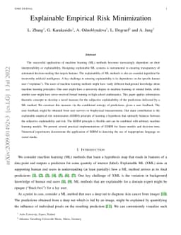 Explainable Empirical Risk Minimization