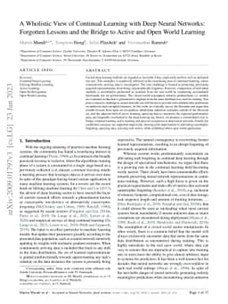 A Wholistic View of Continual Learning with Deep Neural Networks:
  Forgotten Lessons and the Bridge to Active and Open World Learning