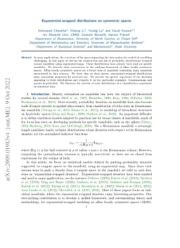 Exponential-wrapped distributions on symmetric spaces