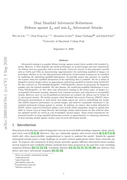 Dual Manifold Adversarial Robustness: Defense against Lp and non-Lp
  Adversarial Attacks
