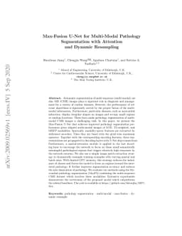 Max-Fusion U-Net for Multi-Modal Pathology Segmentation with Attention
  and Dynamic Resampling