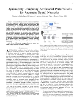Dynamically Computing Adversarial Perturbations for Recurrent Neural
  Networks