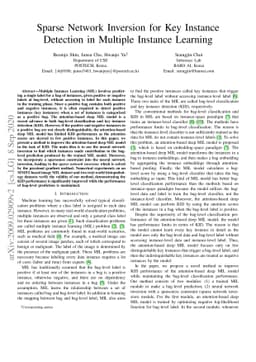 Sparse Network Inversion for Key Instance Detection in Multiple Instance
  Learning