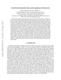 A Neural Network Perturbation Theory Based on the Born Series