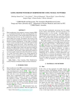 Going deeper with brain morphometry using neural networks
