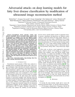 Adversarial attacks on deep learning models for fatty liver disease
  classification by modification of ultrasound image reconstruction method