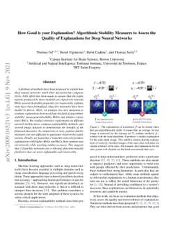 How Good is your Explanation? Algorithmic Stability Measures to Assess
  the Quality of Explanations for Deep Neural Networks