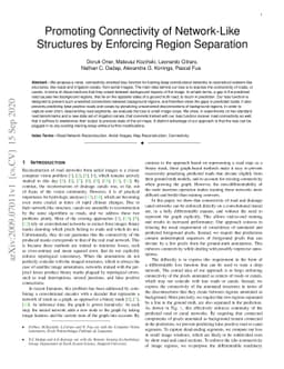 Promoting Connectivity of Network-Like Structures by Enforcing Region
  Separation