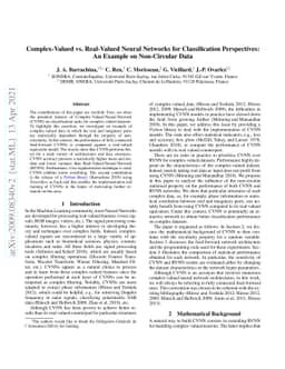 Complex-Valued vs. Real-Valued Neural Networks for Classification
  Perspectives: An Example on Non-Circular Data