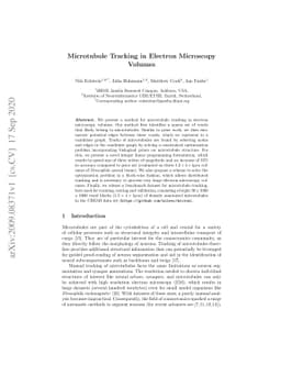 Microtubule Tracking in Electron Microscopy Volumes