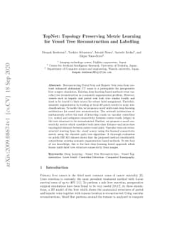 TopNet: Topology Preserving Metric Learning for Vessel Tree
  Reconstruction and Labelling