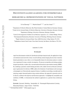 Decontextualized learning for interpretable hierarchical representations
  of visual patterns