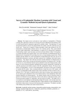 Survey of explainable machine learning with visual and granular methods
  beyond quasi-explanations