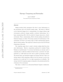 Entropy, Computing and Rationality