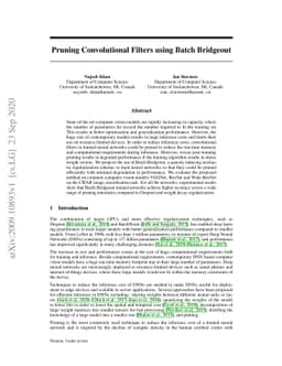 Pruning Convolutional Filters using Batch Bridgeout