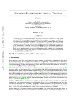 Semantics-Preserving Adversarial Training