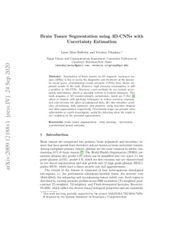 Brain Tumor Segmentation using 3D-CNNs with Uncertainty Estimation