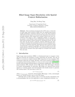 Blind Image Super-Resolution with Spatial Context Hallucination