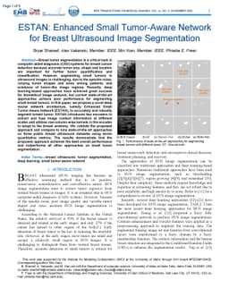 ESTAN: Enhanced Small Tumor-Aware Network for Breast Ultrasound Image
  Segmentation