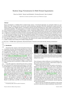 Realistic Image Normalization for Multi-Domain Segmentation