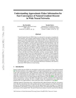 Understanding Approximate Fisher Information for Fast Convergence of
  Natural Gradient Descent in Wide Neural Networks