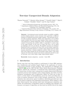 Test-time Unsupervised Domain Adaptation