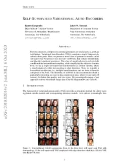 Self-Supervised Variational Auto-Encoders