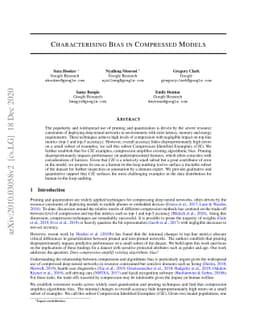 Characterising Bias in Compressed Models
