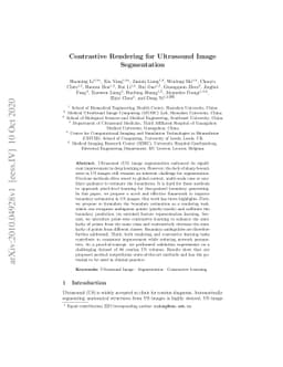 Contrastive Rendering for Ultrasound Image Segmentation