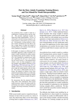 Pair the Dots: Jointly Examining Training History and Test Stimuli for
  Model Interpretability