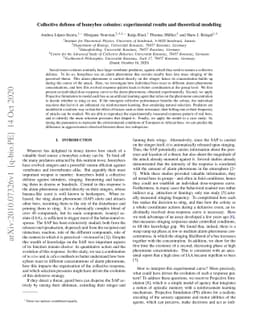 Collective defense of honeybee colonies: experimental results and
  theoretical modeling