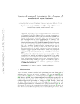 A general approach to compute the relevance of middle-level input
  features