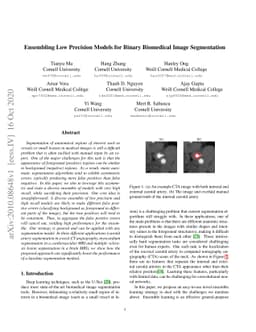 Ensembling Low Precision Models for Binary Biomedical Image Segmentation