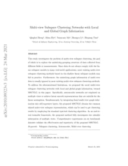 Multi-view Subspace Clustering Networks with Local and Global Graph
  Information