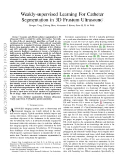 Weakly-supervised Learning For Catheter Segmentation in 3D Frustum
  Ultrasound