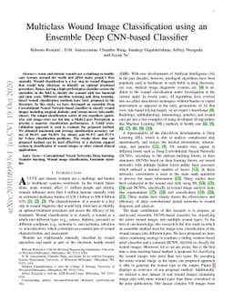 Multiclass Wound Image Classification using an Ensemble Deep CNN-based
  Classifier